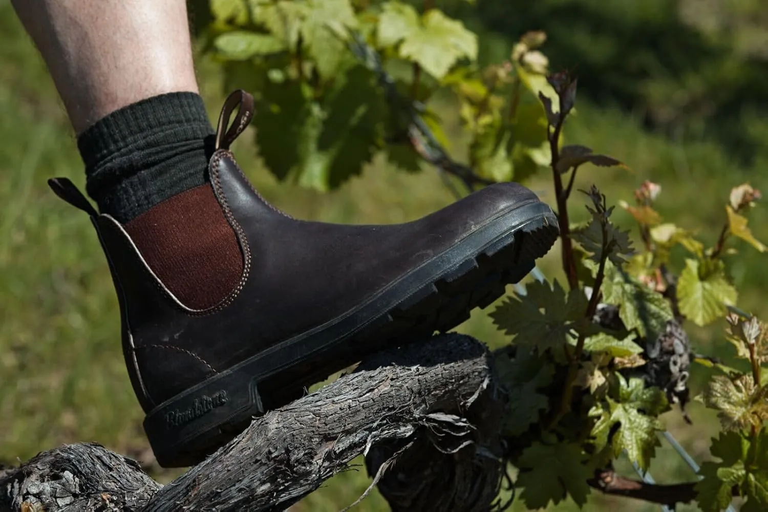 Blundstone Original Chelsea Boots - Unisex