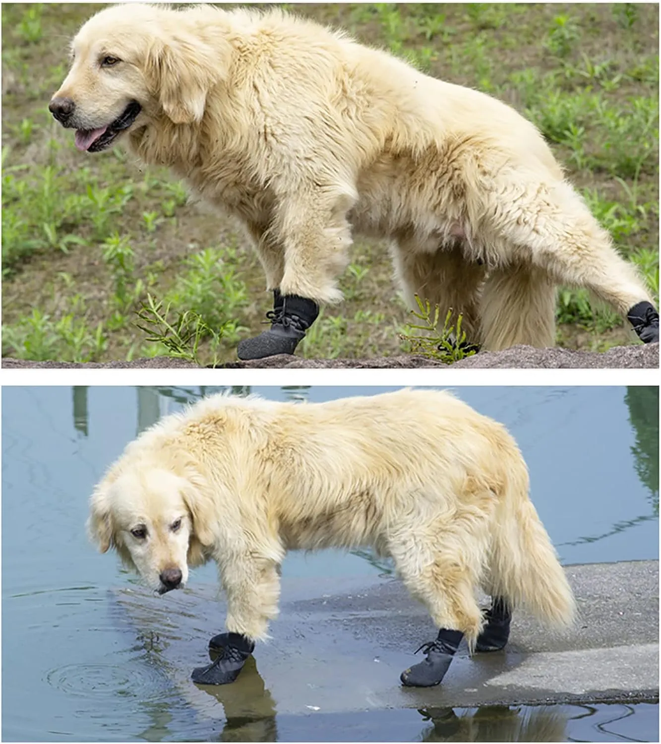 Dog Shoes for Outside and Indoor Rugged Sole Dogs Boots for Small Medium Large Dogs Breathable Summer and Winter Dog Shoes